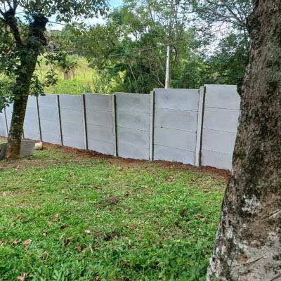 Muro22jan1