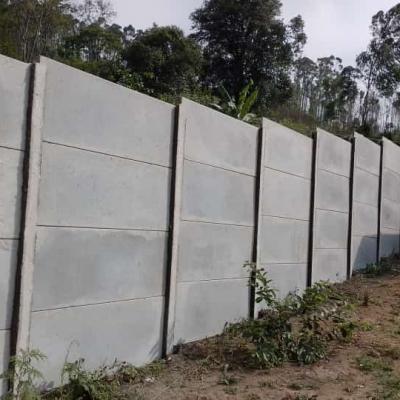 Muros Nov7